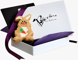 Easter Bunny Biccies Single